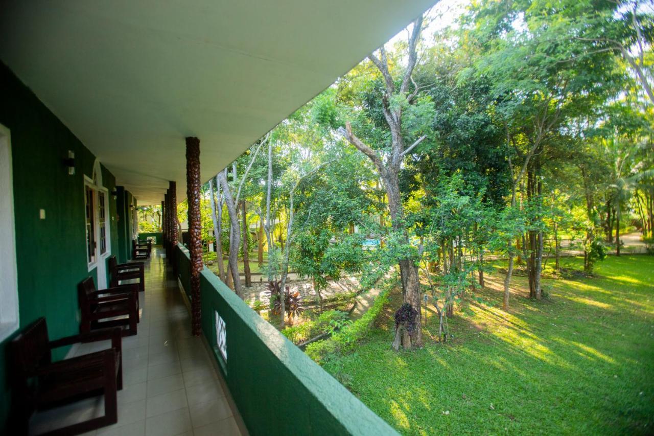 Hotel Eden Garden Sigiriya Eksteriør bilde